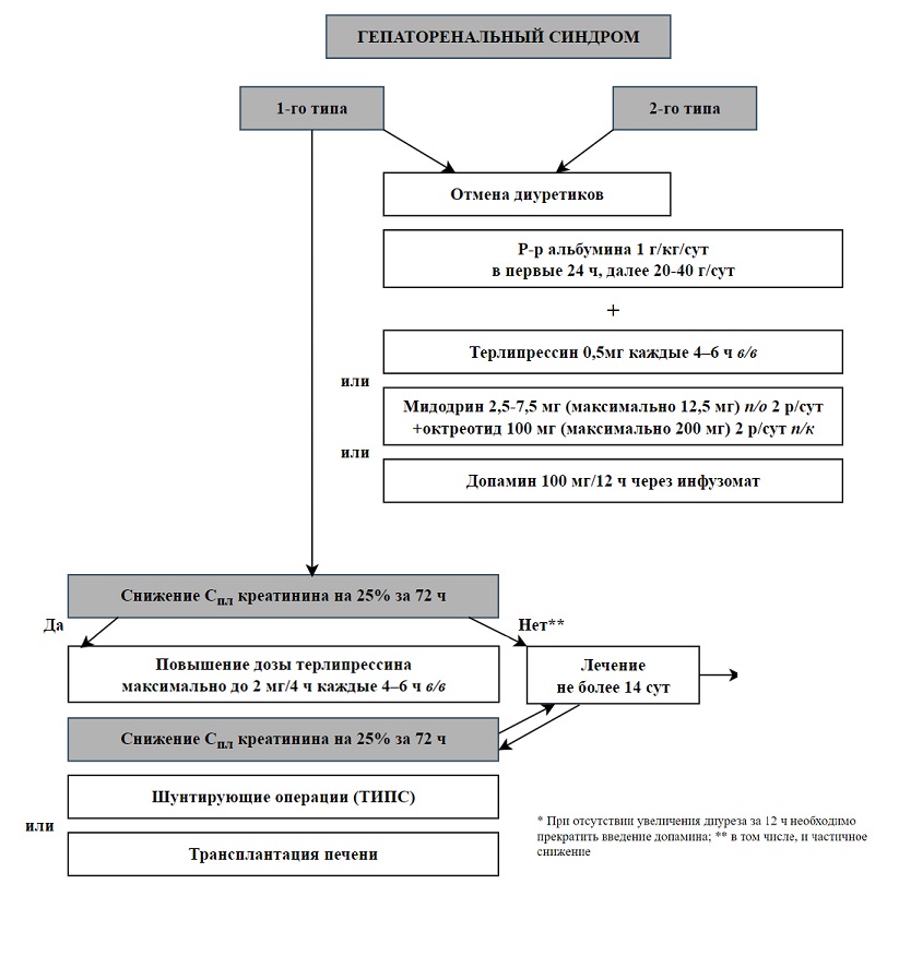 Алгоритм лечения гепаторенального синдрома